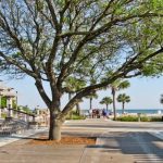 52 COURTSIDE - HILTON HEAD