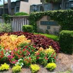 26 OCEAN CLUB - HILTON HEAD