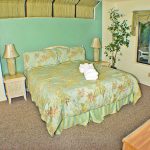 62 SPRINGWOOD - HILTON HEAD