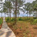 16 PAINTED BUNTING - SEA PINES - HILTON HEAD