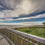 16 SURF SCOTER - SEA PINES - HILTON HEAD