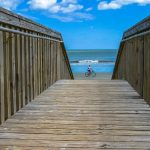 12 SNOWY EGRET - SEA PINES - HILTON HEAD