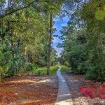 16 SURF SCOTER - SEA PINES - HILTON HEAD