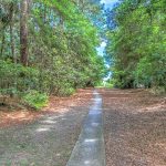 12 SNOWY EGRET - SEA PINES - HILTON HEAD